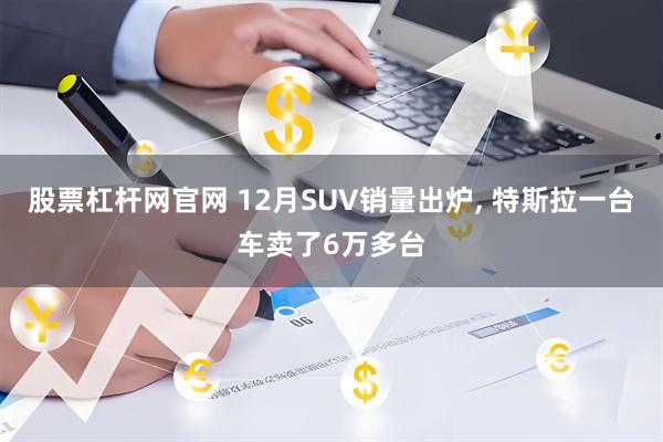 股票杠杆网官网 12月SUV销量出炉, 特斯拉一台车卖了6万多台