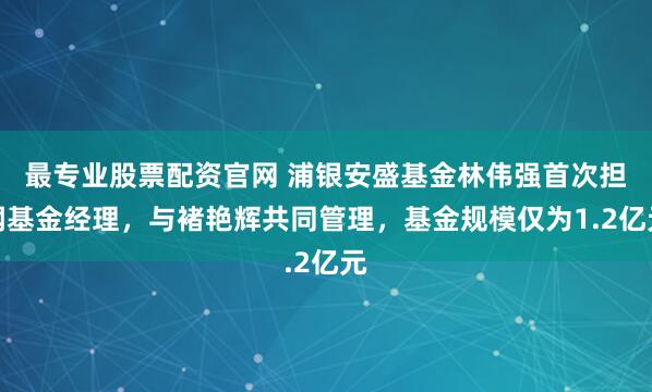 最专业股票配资官网 浦银安盛基金林伟强首次担纲基金经理，与褚艳辉共同管理，基金规模仅为1.2亿元