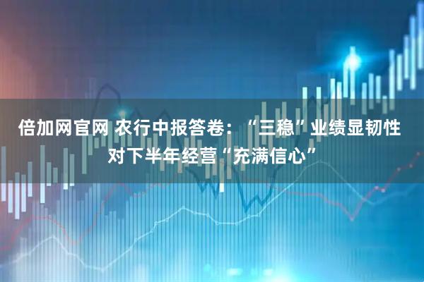 倍加网官网 农行中报答卷：“三稳”业绩显韧性 对下半年经营“充满信心”